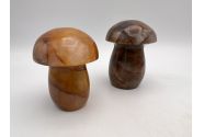 Paddenstoelen