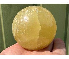 Citroen calciet bol