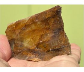 Golden Healer plak schijf