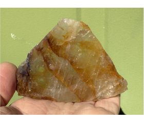 Golden Healer plak schijf