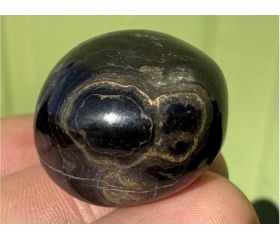 Stromatoliet