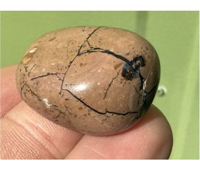 Elfenbeen Jaspis met Albiet