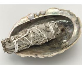 Reinigingsset Abalone schelp Witte Salie