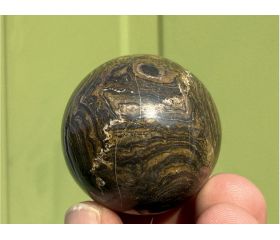 Stromatoliet bol