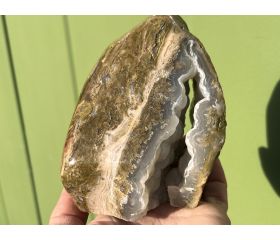Botryoidal Agaat in Versteend hout.  