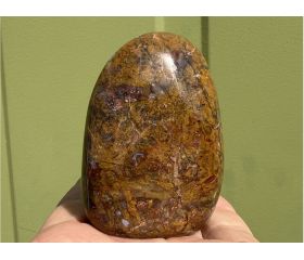 Red Palm fossiel Versteend hout uit Indonesië free form