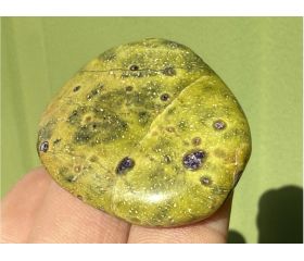 Atlantisiet palmsteen