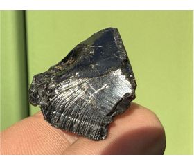 Edel Shungiet - Elite Shungite 