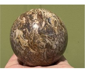 Fossielen Schelpen Jaspis bol