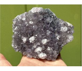 kneusjeshoek Amethist cluster 