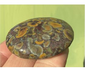 Ajooba Jaspis - Fruit Jaspis - Conglomeraat Jaspis