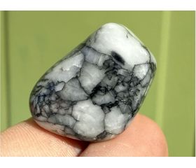 Pinoliet Magnesiet 
