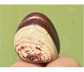 Mary Ellen Stromatoliet met Hematiet