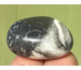 Schelp Jaspis (Shell) Mosselsteen