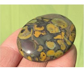 Ajooba Jaspis - Fruit Jaspis - Conglomeraat Jaspis