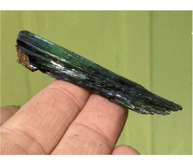 Aegirien uit Zomba Malosa Malawi