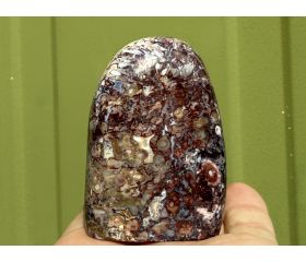 Red Palm fossiel Versteend hout uit Indonesië free form