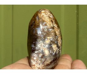 Red Palm fossiel Versteend hout uit Indonesië free form