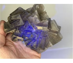 Blauwe Fluoriet cluster Uv Actief