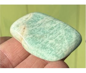 Kneusjeshoek Amazoniet Brazilië 