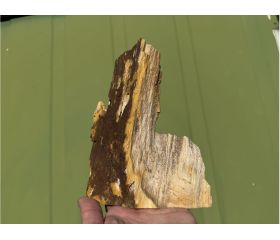 Versteend hout met natuurlijke druzy kristallen aangepolijst uit Indonesië 