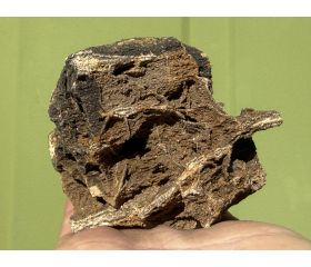 Versteend hout met natuurlijke druzy kristallen uit Indonesië 