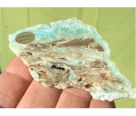 Caribbean Blue Calciet