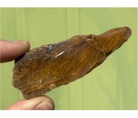 Golden Healer plak schijf