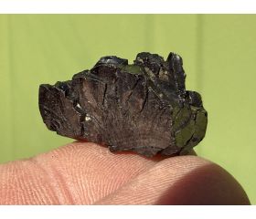 Edel Shungiet - Elite Shungite 