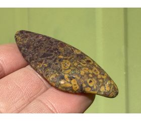 Ajooba Jaspis - Fruit Jaspis - Conglomeraat Jaspis