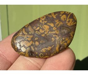 Ajooba Jaspis - Fruit Jaspis - Conglomeraat Jaspis