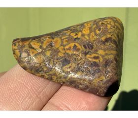 Ajooba Jaspis - Fruit Jaspis - Conglomeraat Jaspis