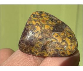 Ajooba Jaspis - Fruit Jaspis - Conglomeraat Jaspis