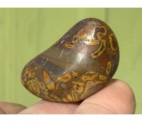 Ajooba Jaspis - Fruit Jaspis - Conglomeraat Jaspis