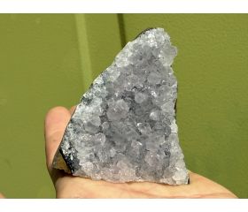 Kneusjeshoek Amethist basedcut 