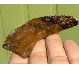 Golden Healer plak schijf